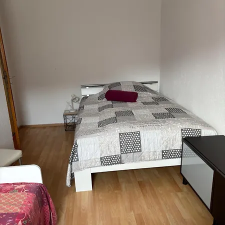 公寓 Ferienwohnung Aurach Aurach