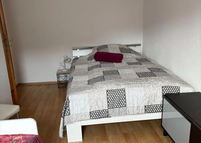 公寓 Ferienwohnung Aurach Aurach